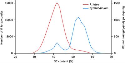 Development of a Novel Reference Transcriptome for Scleractinian Coral Porites lutea Using Single-Molecule Long-Read Isoform Sequencing (Iso-Seq)